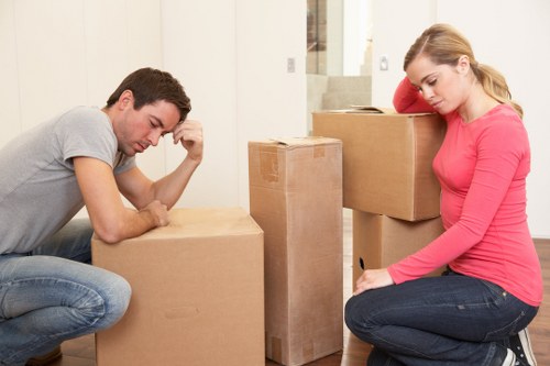 Careful loading of boxes and household items into a van
